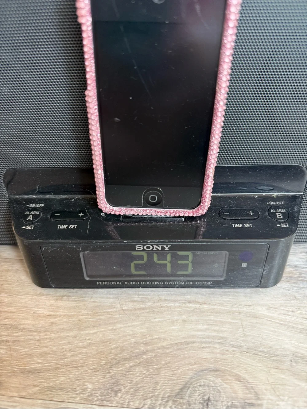 Sony Black Personal Audio Docking System with iPod Touch and Pink  Case